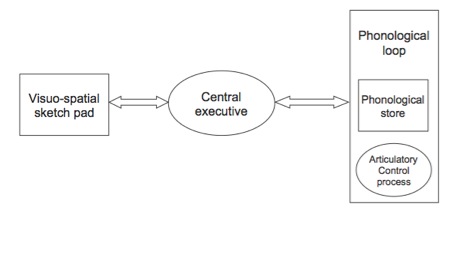 working memory model simplified diagram